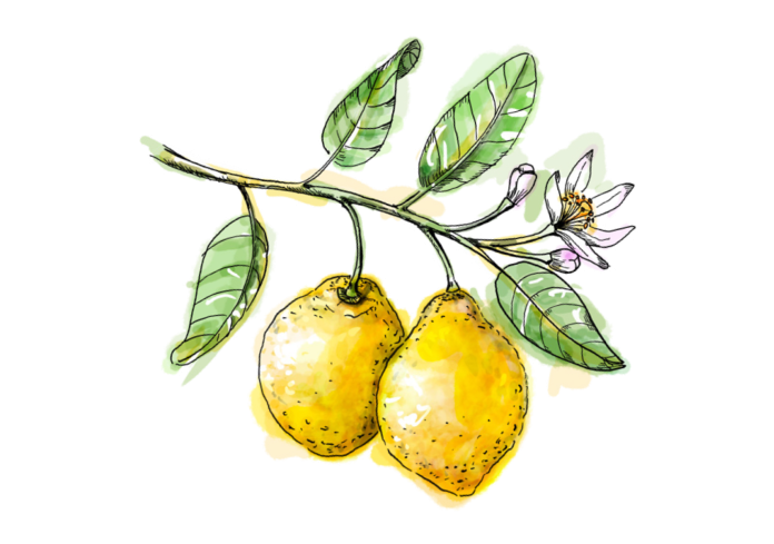 Co je aromaterapie